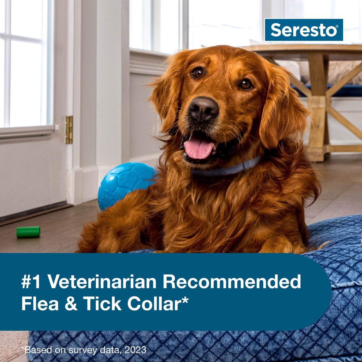 Seresto Flea & Tick Collar for Dogs