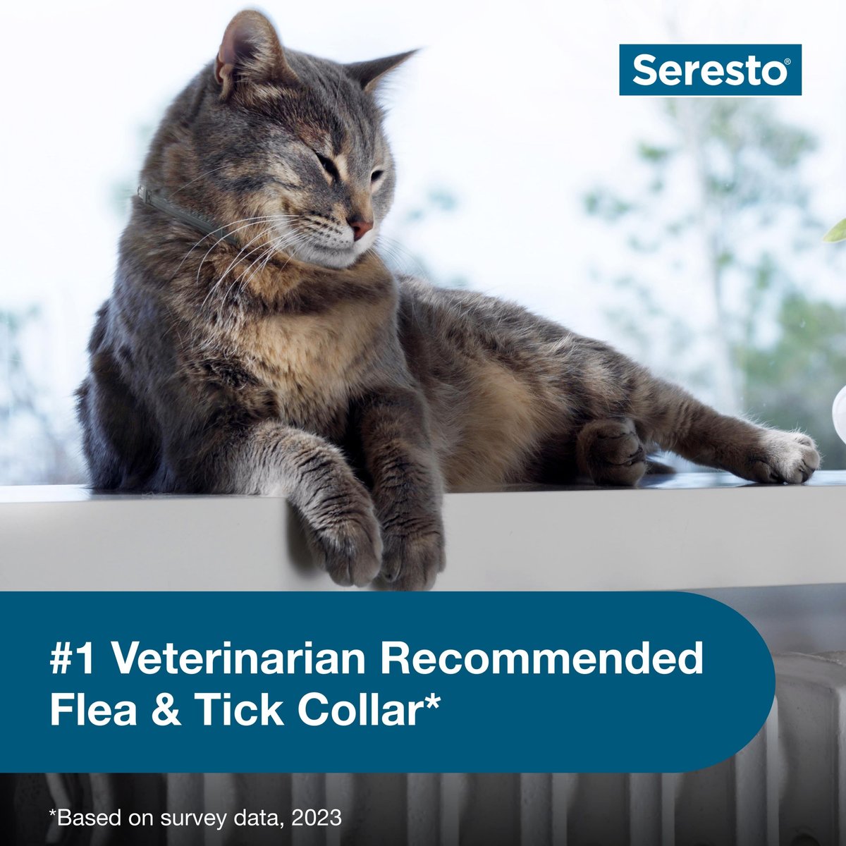Seresto Flea & Tick Collar for Cats