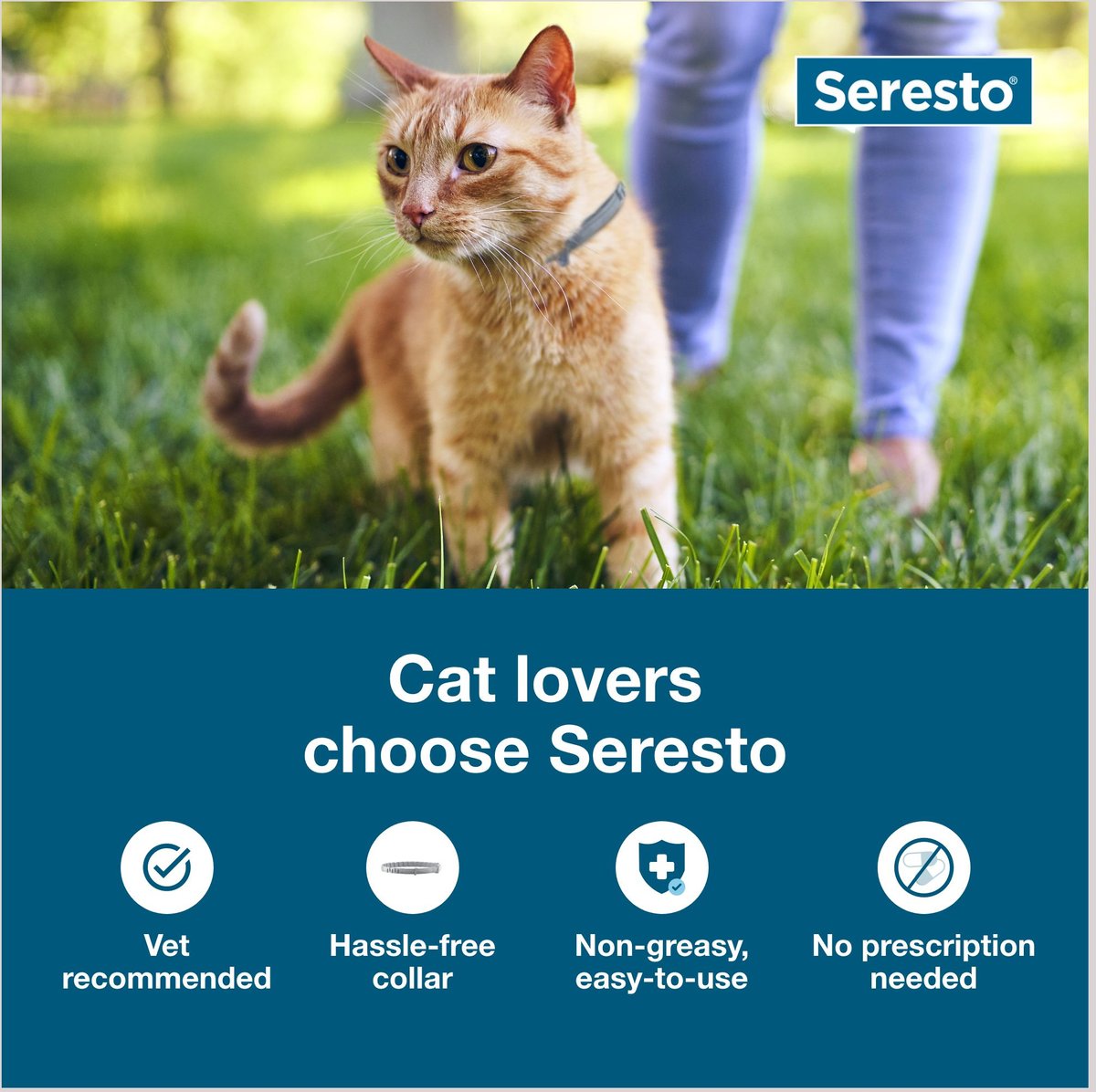 Seresto Flea & Tick Collar for Cats